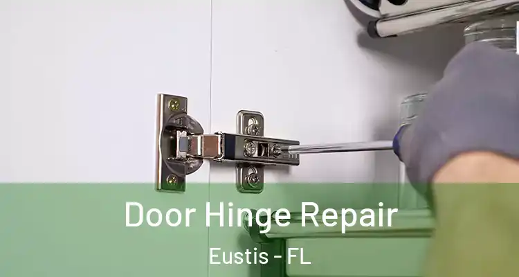  Door Hinge Repair Eustis - FL
