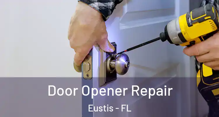  Door Opener Repair Eustis - FL