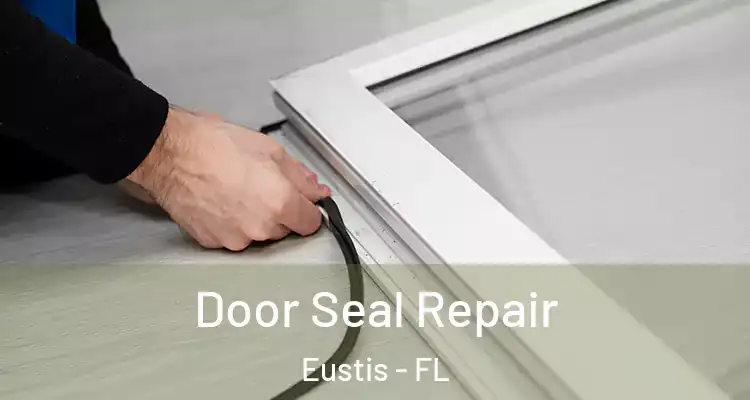  Door Seal Repair Eustis - FL