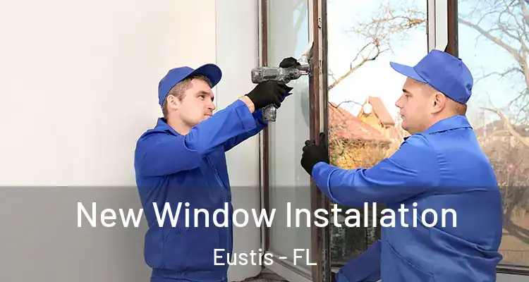  New Window Installation Eustis - FL