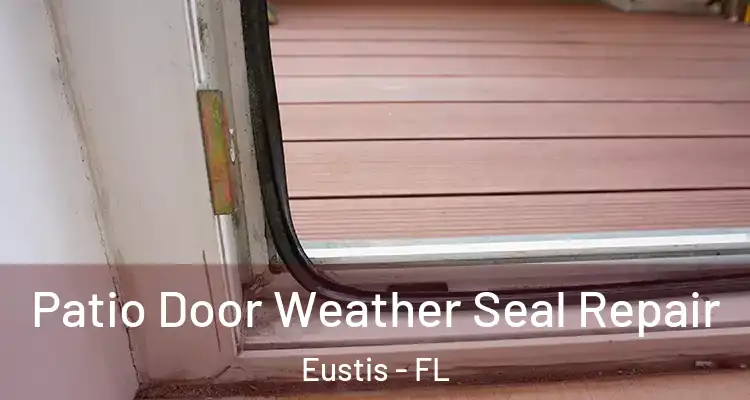  Patio Door Weather Seal Repair Eustis - FL