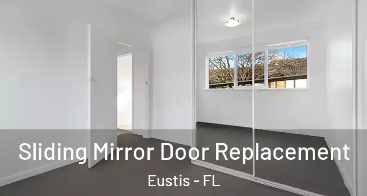  Sliding Mirror Door Replacement Eustis - FL